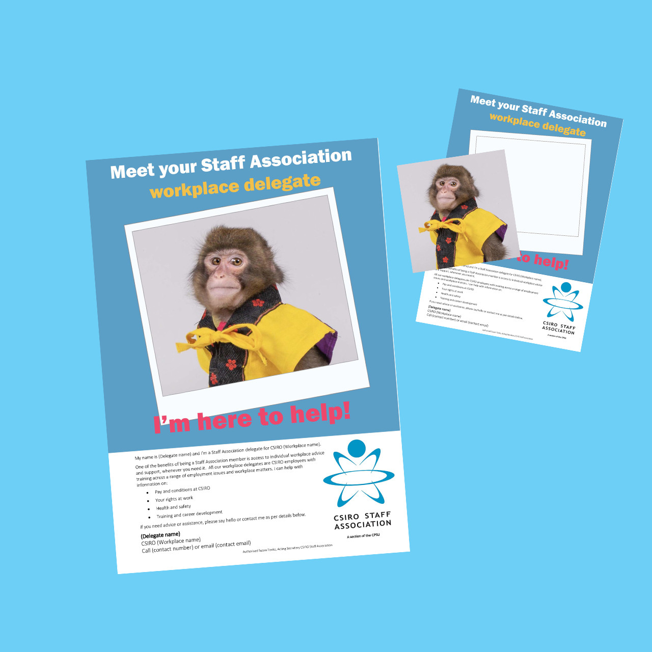 2 mtd web example 1280 sq